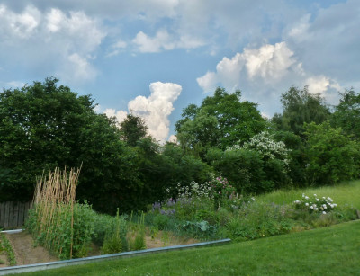 P1090631.jpg