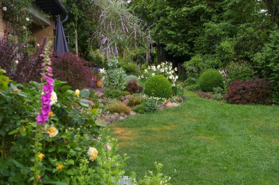 Hinterer Garten.003.jpg