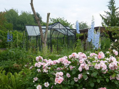 2018-06-01 Garteneinblick 2.jpg
