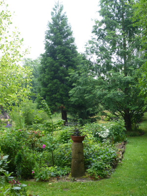 2018-06-01 Garteneinblick 3.jpg