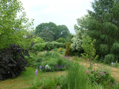 2018-06-01 Garteneinblick 7.jpg