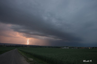 29.05.18 Kirchworbis-5119337.jpg