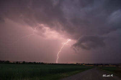 29.05.18 Kirchworbis-5119400.jpg
