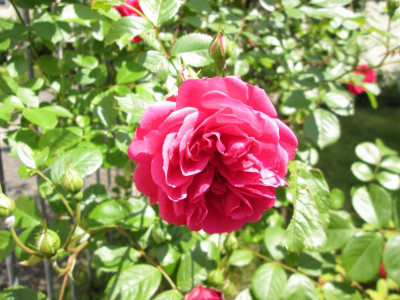IMG_0088.JPG