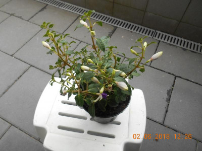 DSCN4783.JPG
