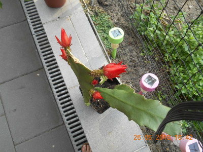 DSCN4773.JPG