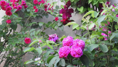 DSCN3049.JPG