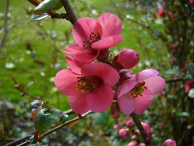 07.04.2007.0.JPG