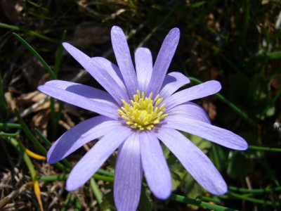07.04.2007.2.JPG