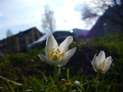 07.04.2007.1.JPG