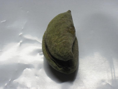 Harzfleck_0419.jpg
