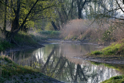 Morgenspaz.-Donau-8.jpg