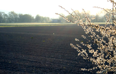 Morgenspaz.-Donau-2.jpg