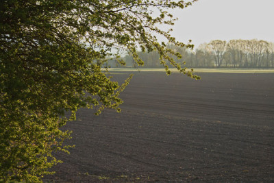 Morgenspaz.Donau-3.jpg