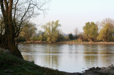 Morgenspaz.Donau-9.jpg