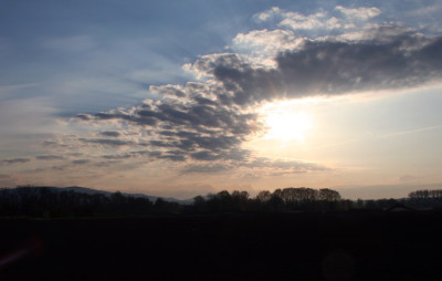 Morgenspazierg.-Donau-1.jpg