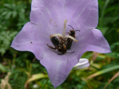 b0306694_800.jpg