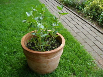 P1240664.JPG