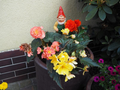 Gartendeko 3.6.18 ue.JPG