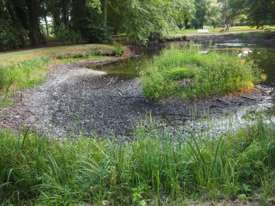 Halbinsel 3.6.18 ue.JPG