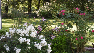 DSCN3038.JPG
