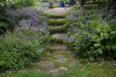 Treppe.002.jpg