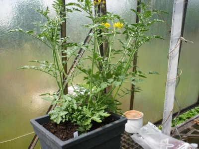 P1050006.JPG