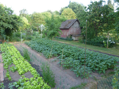 2018-06-04 Gemüsegarten.jpg