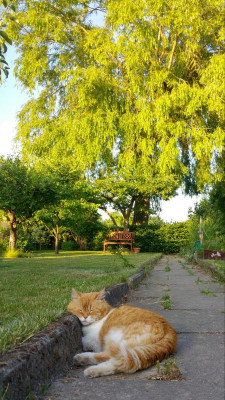 20180605_195845_HDR-1.jpg