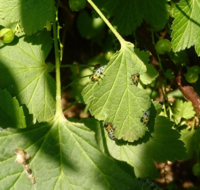 20180605_150841.jpg