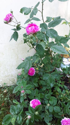 20180601_080233.jpg