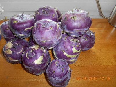 DSCN4791.JPG