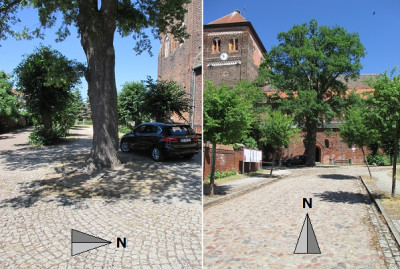 Eiche_01.jpg