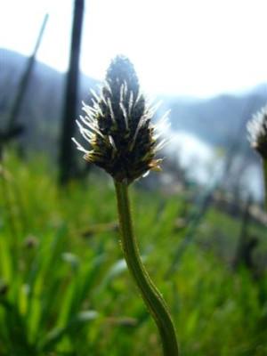 09.04.2007.6.JPG