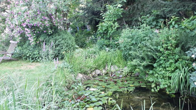 20180607_070716.jpg