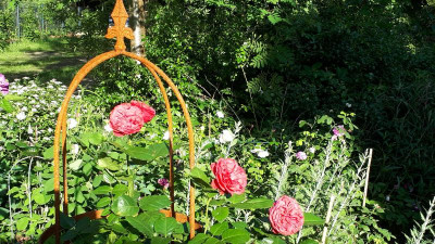20180607_073600.jpg