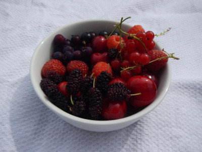 DSCN7319.JPG