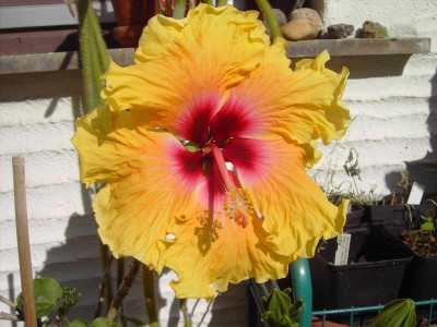 PICT2206.JPG