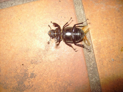 PICT2210.JPG