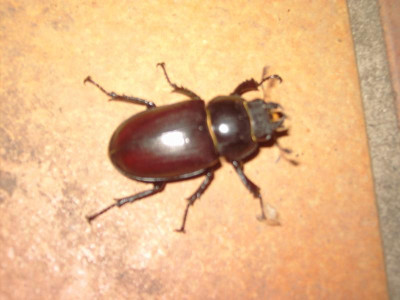 PICT2219.JPG