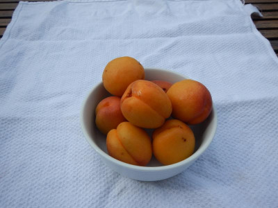 DSCN7327.JPG