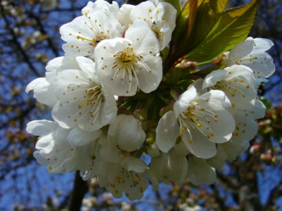09.04.2007.11.JPG
