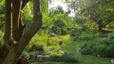 20180530_080646_HDR.jpg