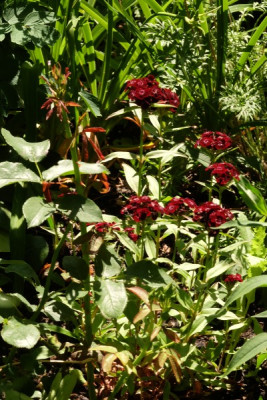 DSCF6390_3265.JPG