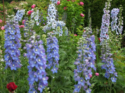 09.06.2018 12-09-14_3414.jpg