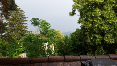 20180609_191015.jpg