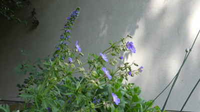 DSCN3139.JPG
