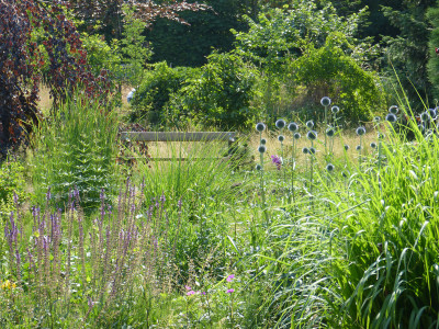 2018-06-09 Gartenimpressionen 1.jpg