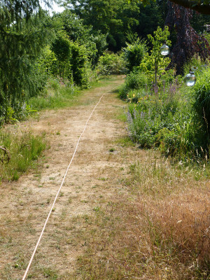 2018-06-09 Garteneinblick 1.jpg