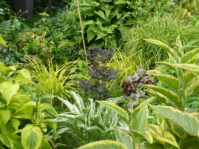 2018-06-10 Gartenimpressionen 1.jpg
